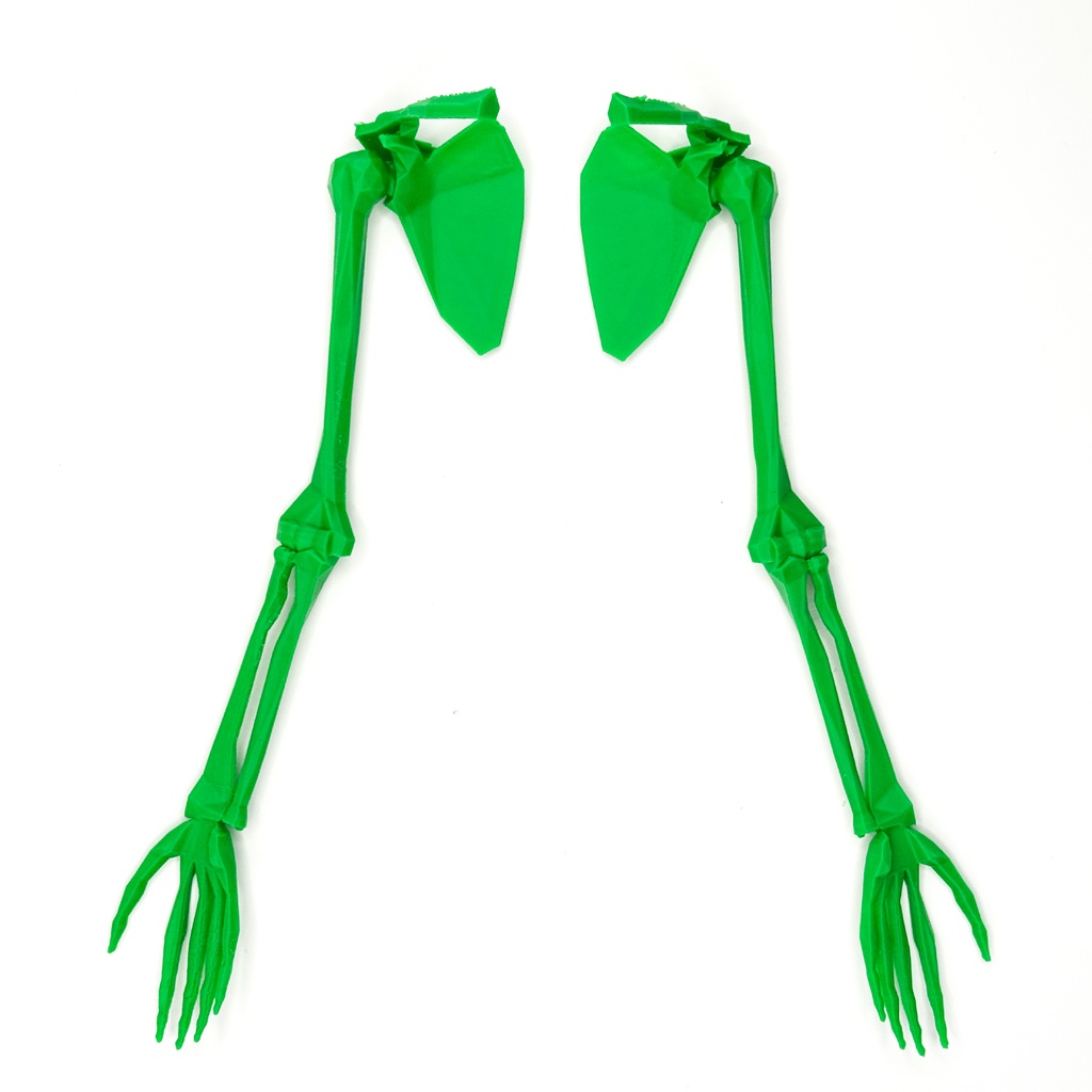 ローポリゴン骨格模型:上肢