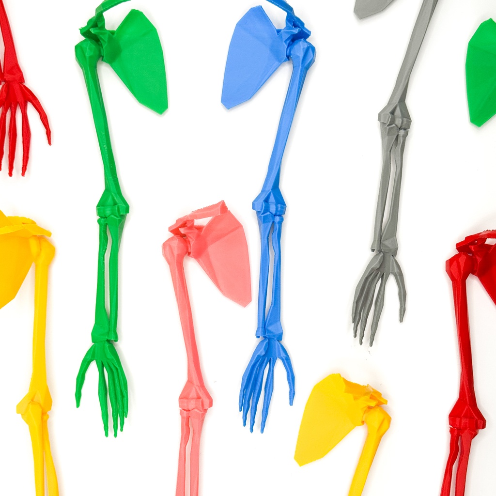 ローポリゴン骨格模型:上肢