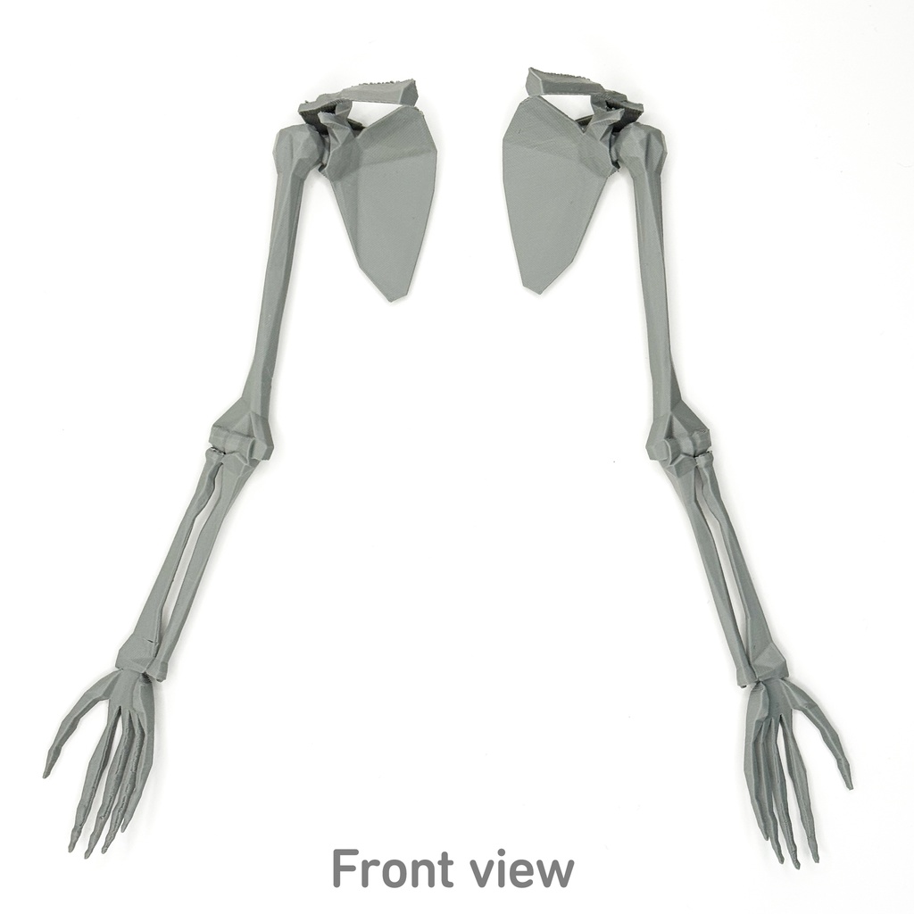 ローポリゴン骨格模型:上肢