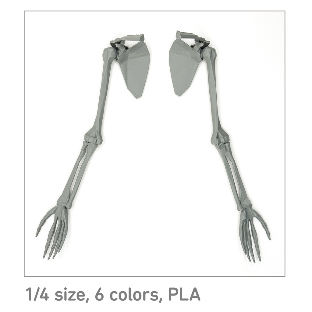ローポリゴン骨格模型：上肢