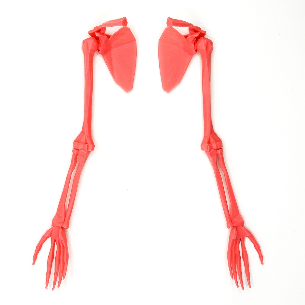 ローポリゴン骨格模型:上肢