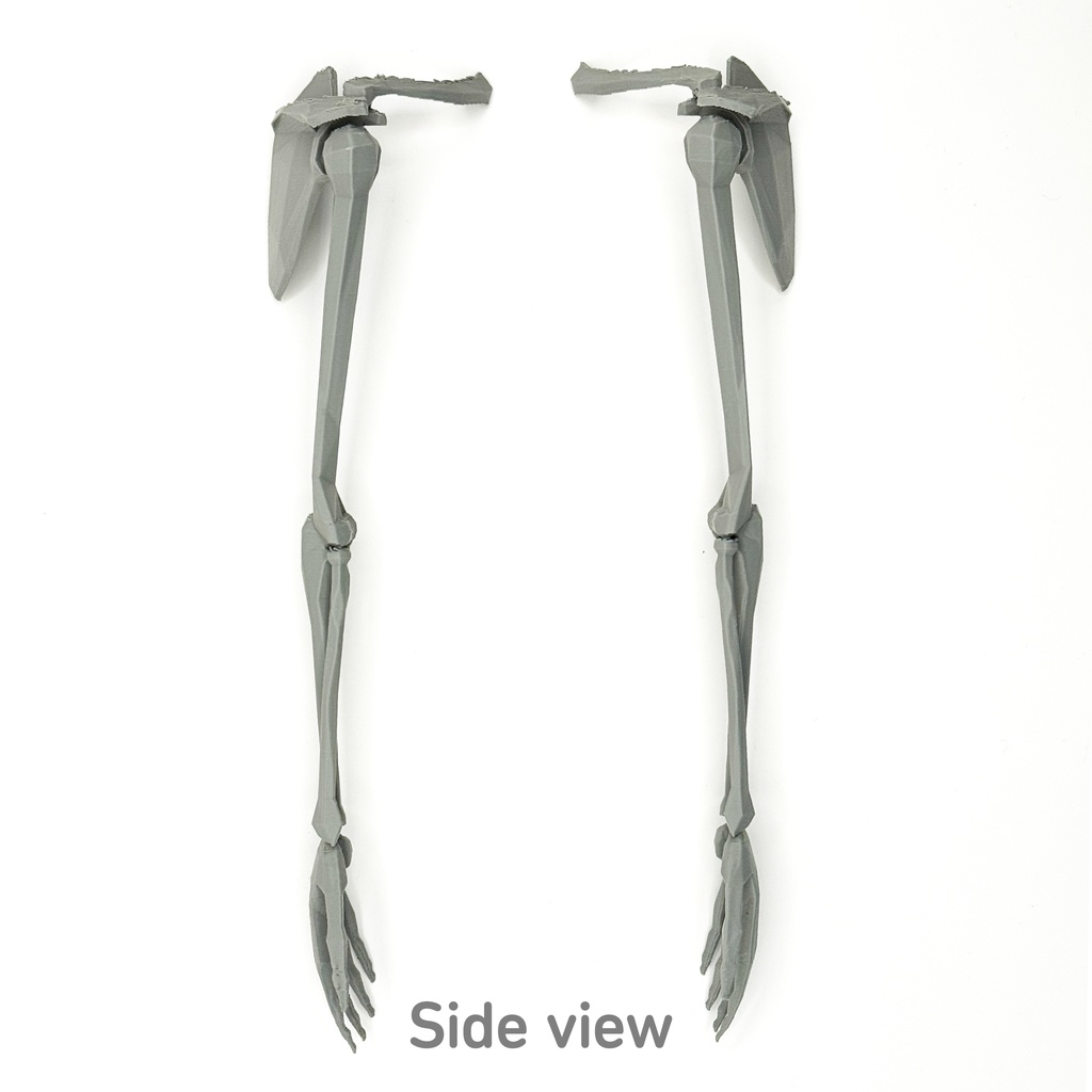 ローポリゴン骨格模型:上肢