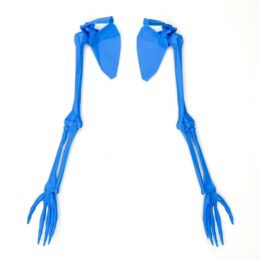 ローポリゴン骨格模型:上肢