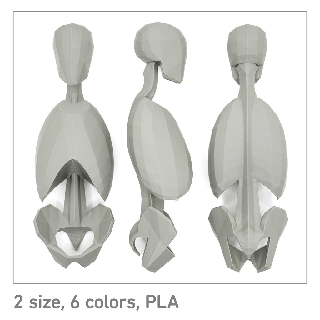 ローポリゴン骨格模型：体幹（連結タイプ）