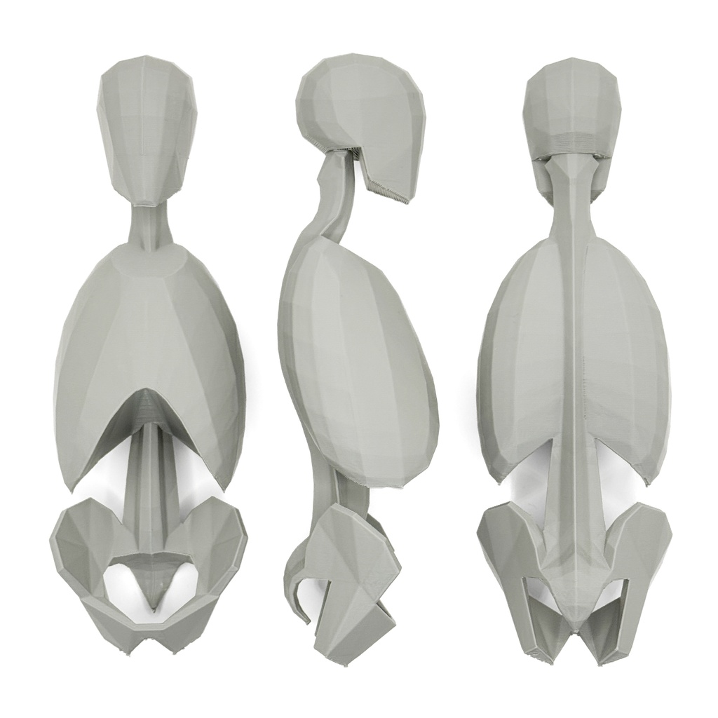 ローポリゴン骨格模型:体幹(連結タイプ)