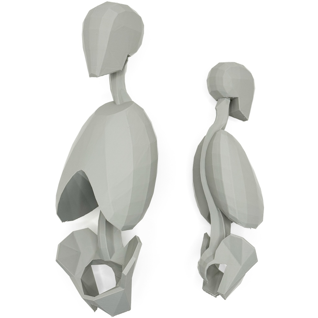 ローポリゴン骨格模型:体幹(連結タイプ)