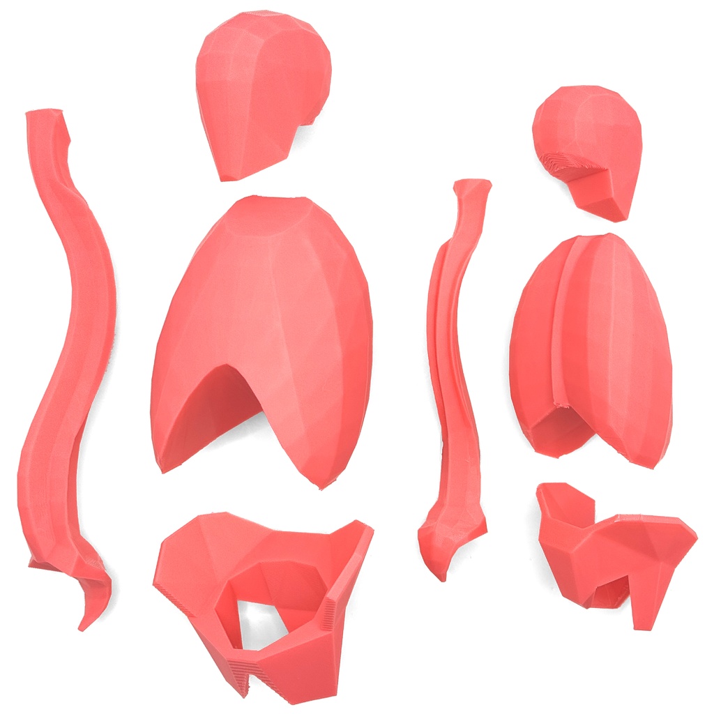 ローポリゴン骨格模型:体幹(分割タイプ)