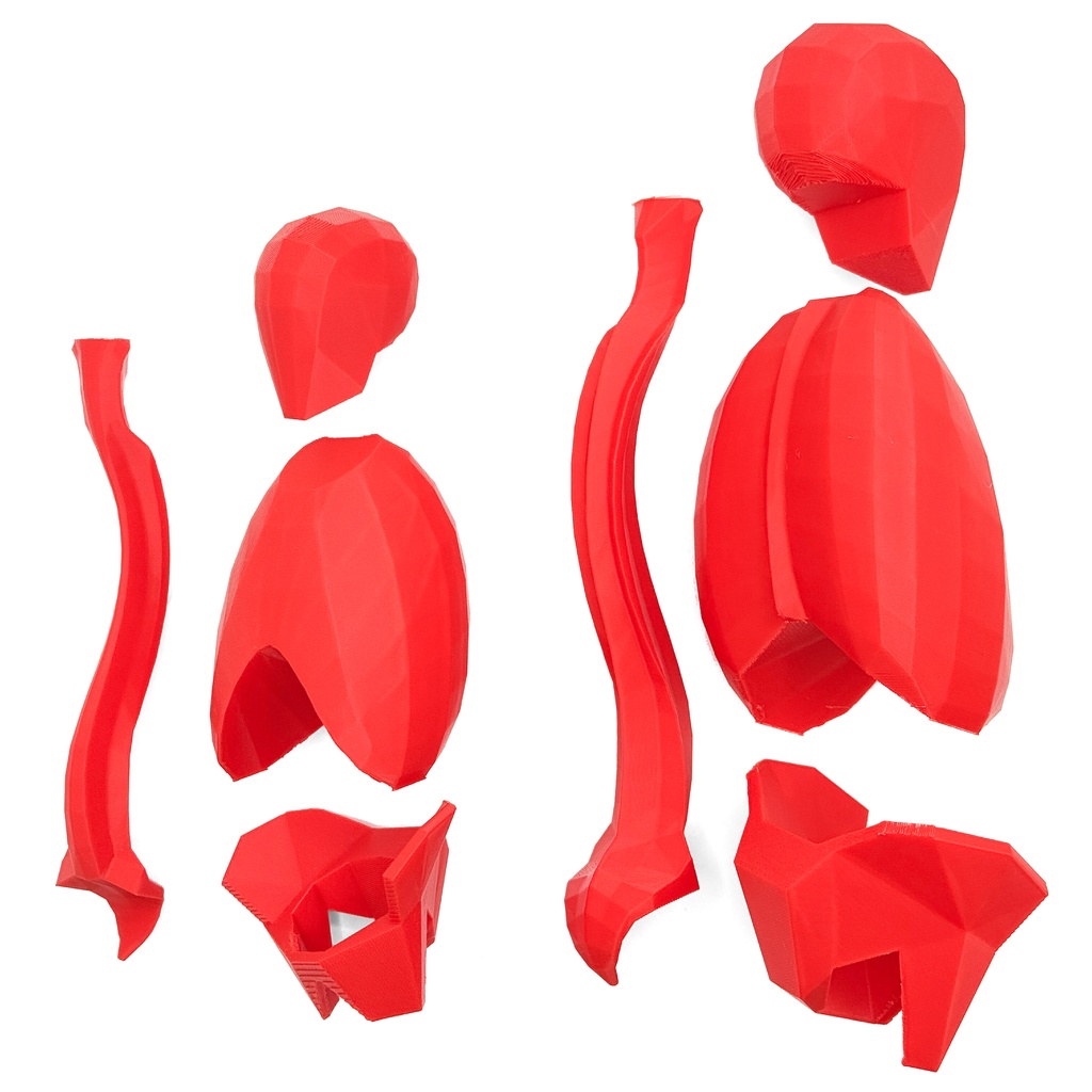 ローポリゴン骨格模型:体幹(分割タイプ)