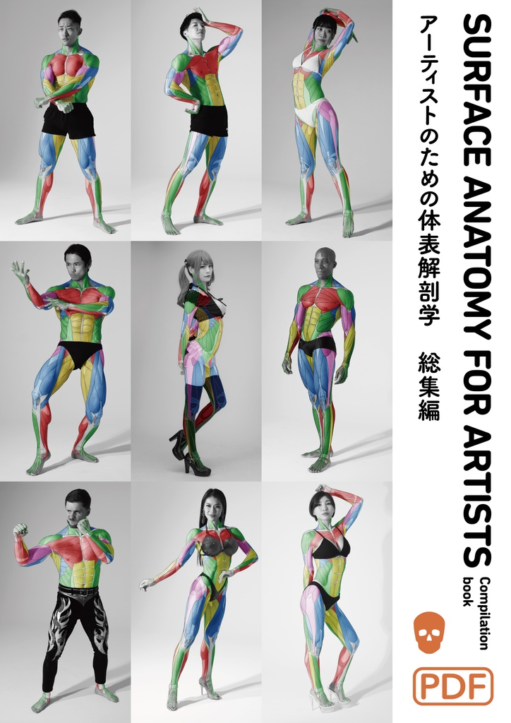 アーティストのための体表解剖学 総集編