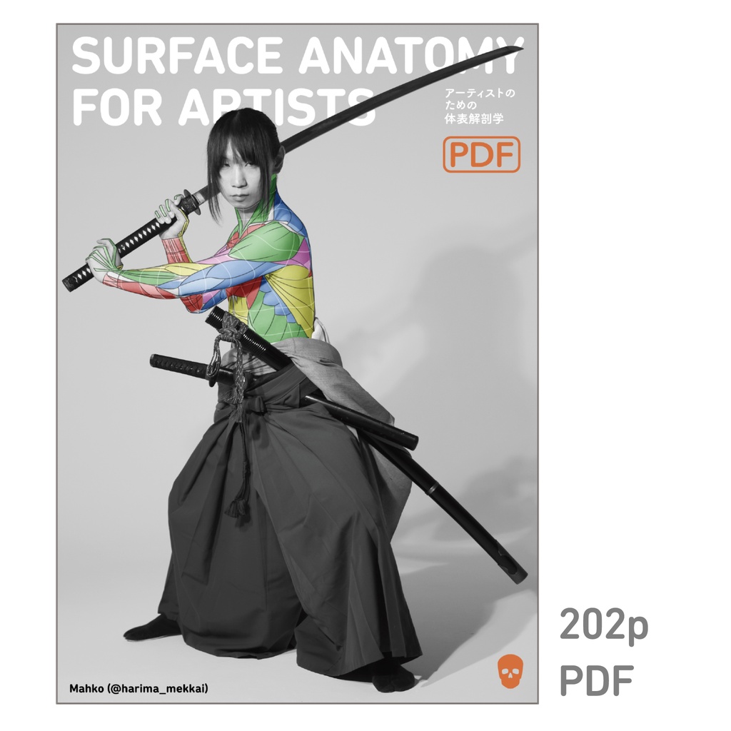 アーティストのための体表解剖学13（PDF）