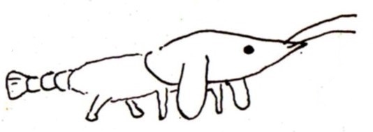 ユメクリチュール