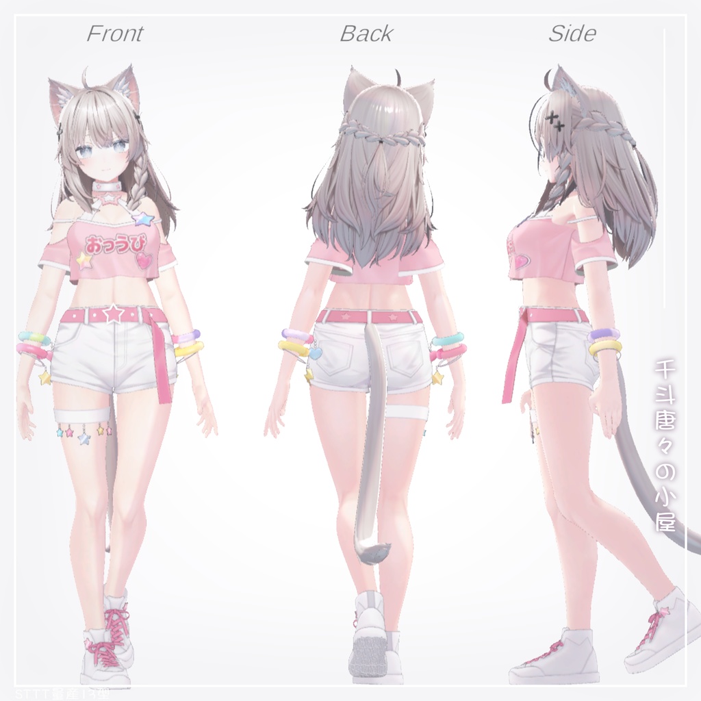 シンユエ-STTT13型