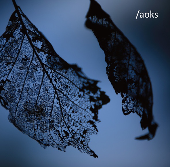 "/aoks" / aoks (2008) ダウンロード版