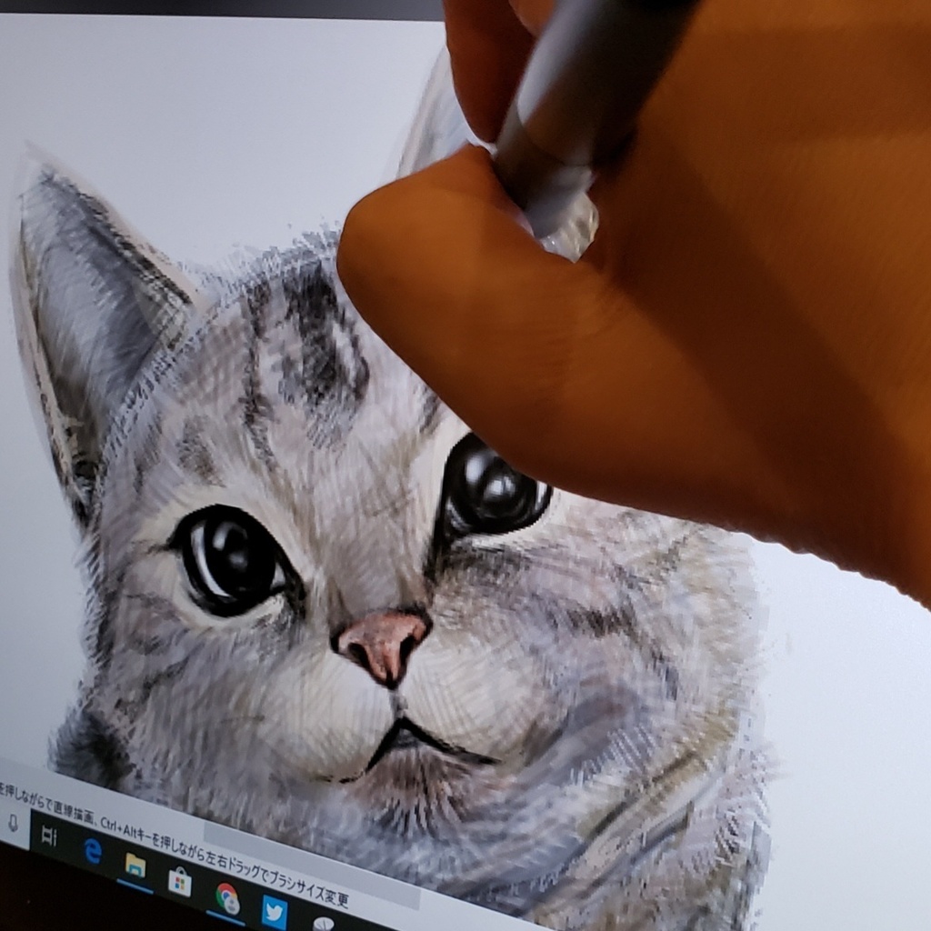 ぷっくりアメショー Tシャツ【大人用】