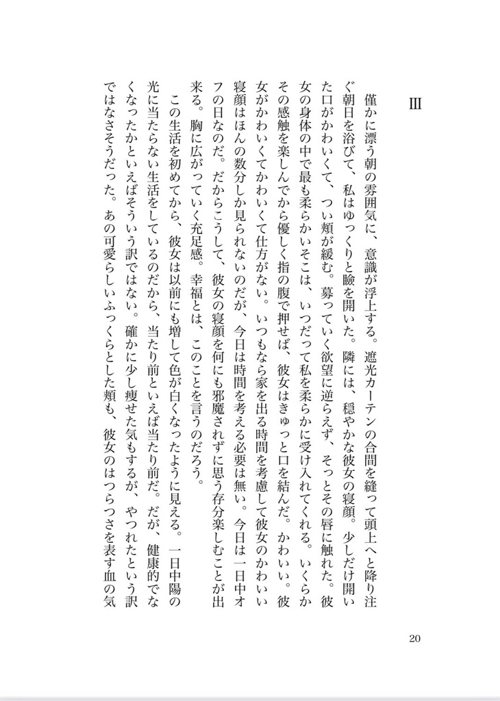 【礼瀬マヨイ / 夢小説】幻影を鳥籠に閉じ込めて