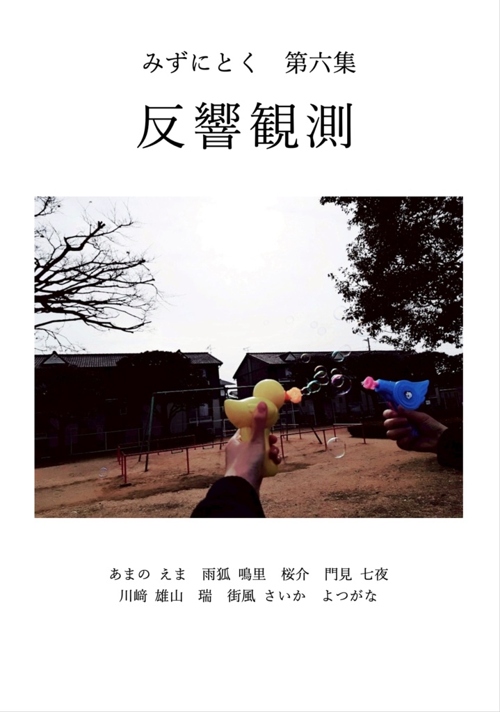 【電子版】第六集 反響観測