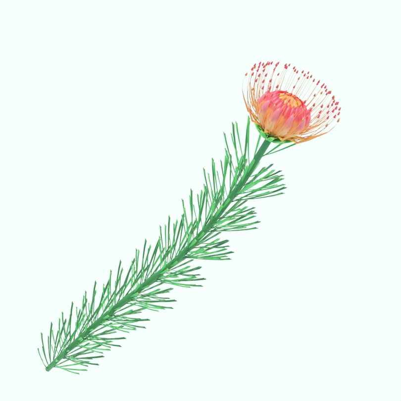 【値下げ】ローポリフラワー ピンクッション .fbx .unitypackage pincushons