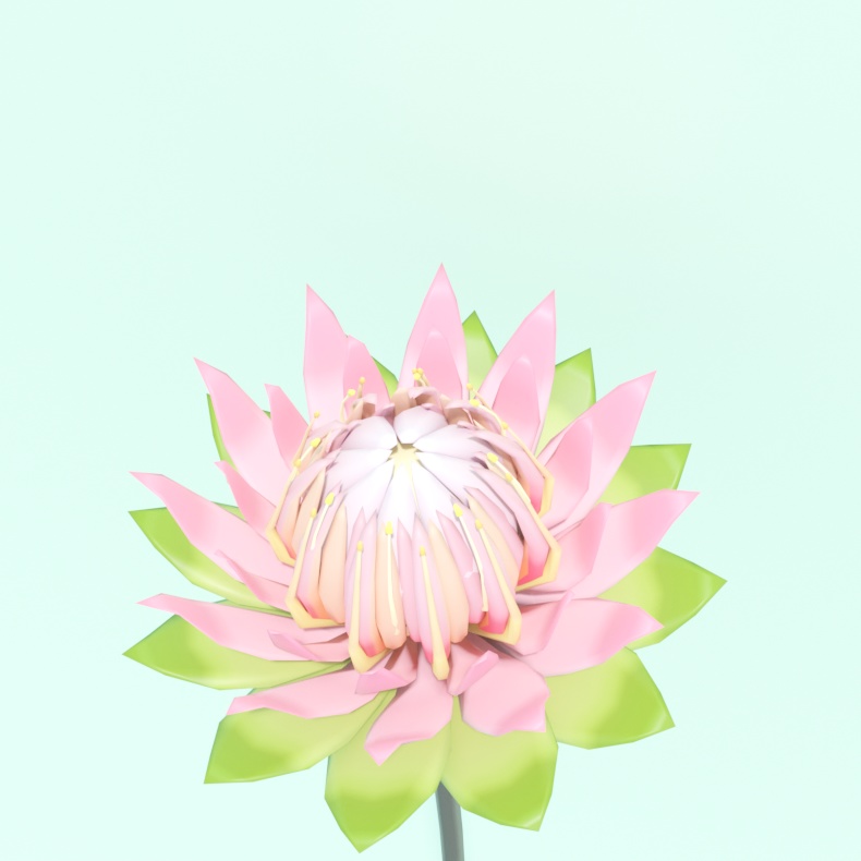 【値下げ】ローポリフラワー プロテア .fbx .unitypackage protea
