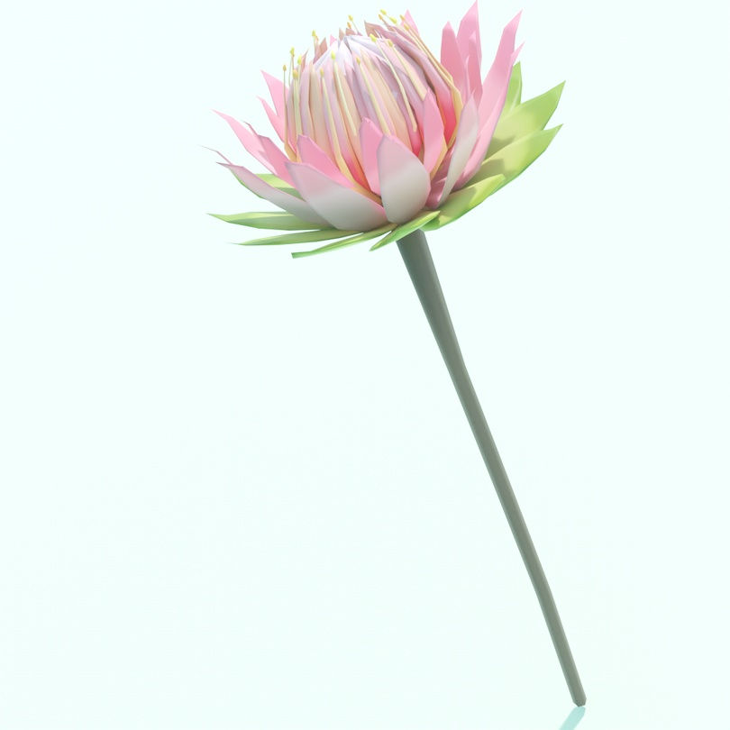 【値下げ】ローポリフラワー プロテア .fbx .unitypackage protea