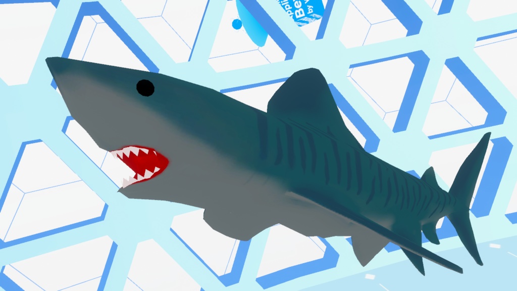 【サメ】イタチザメ（TigerShark）