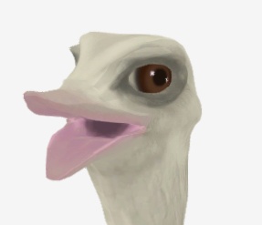 【3D】ダチョウ【素材】