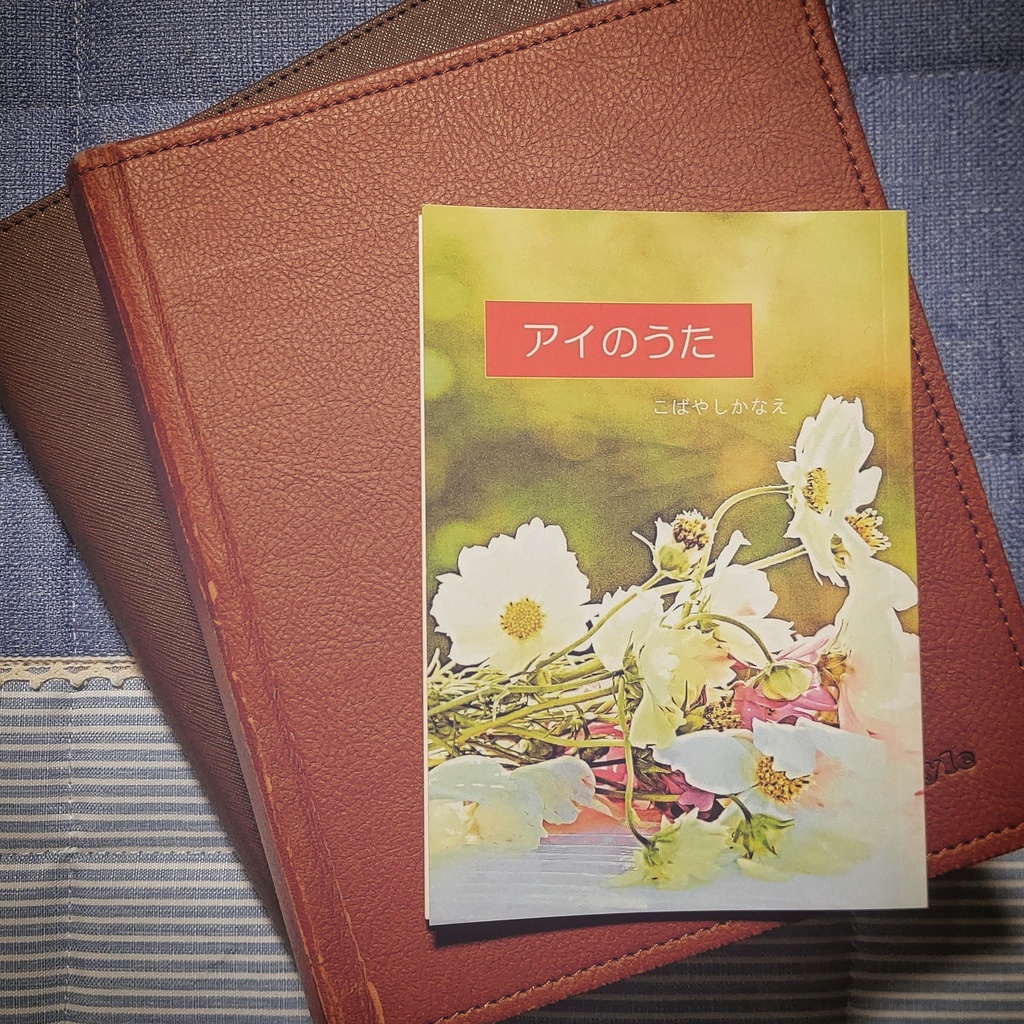 SET2 よくばりセット