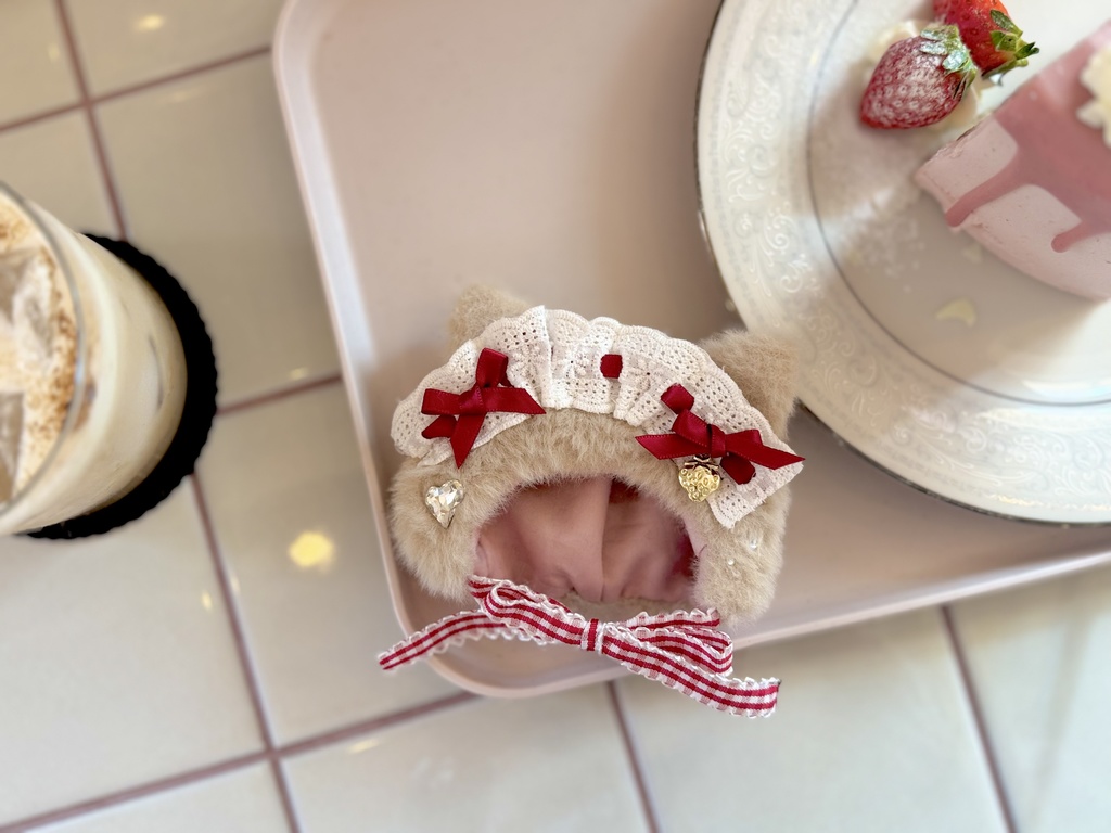 𝙸𝚌𝚑𝚒𝚐𝚘 𝚌𝚑𝚘𝚌𝚘𝚕𝚊𝚝𝚎 𝚔𝚒𝚝𝚝𝚢🍓🍫꒦꒷