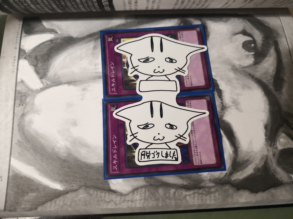 罪作りな猫ステッカー〜脱獄編〜