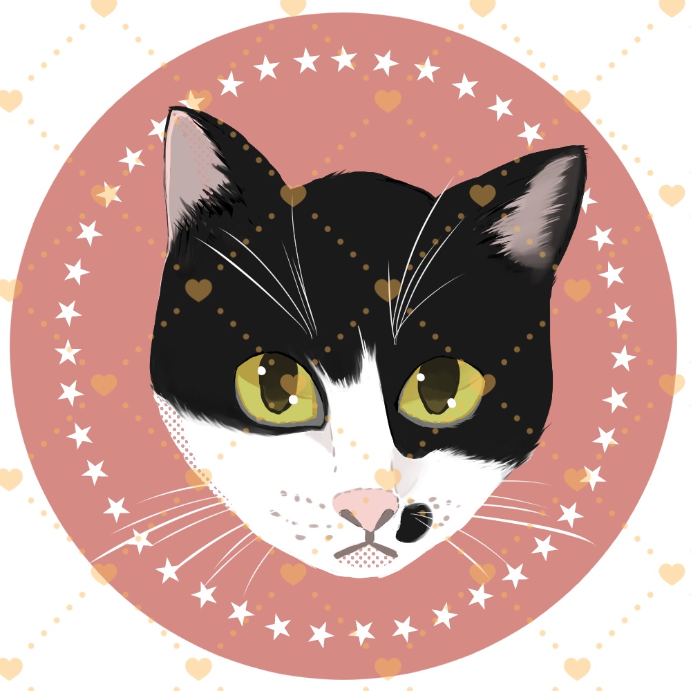 猫アイコン(ハチワレ)