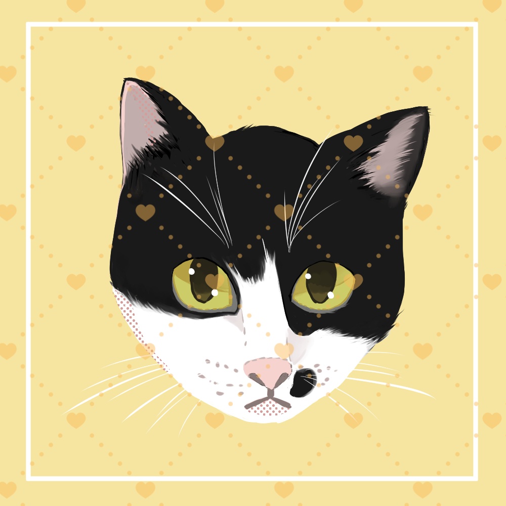 猫アイコン(ハチワレ)