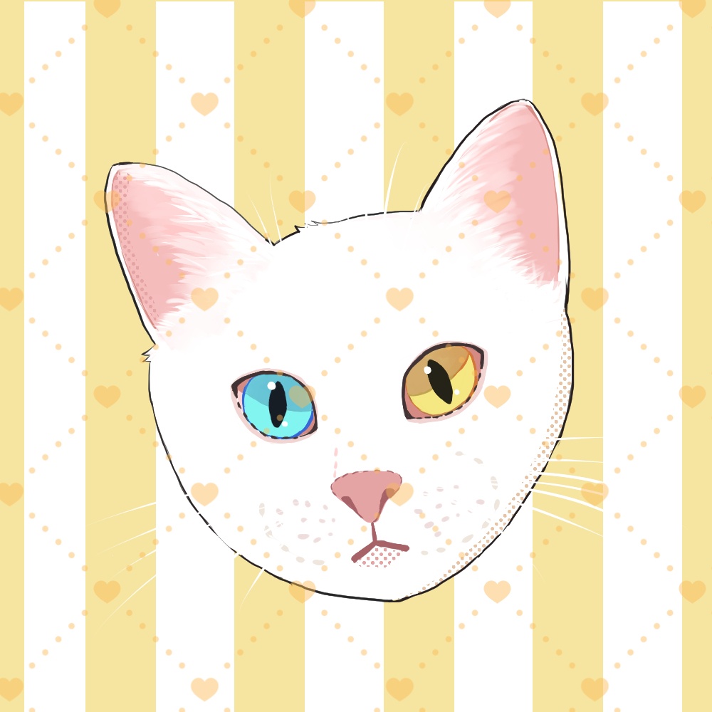猫のアイコン(白猫、オッドアイ)