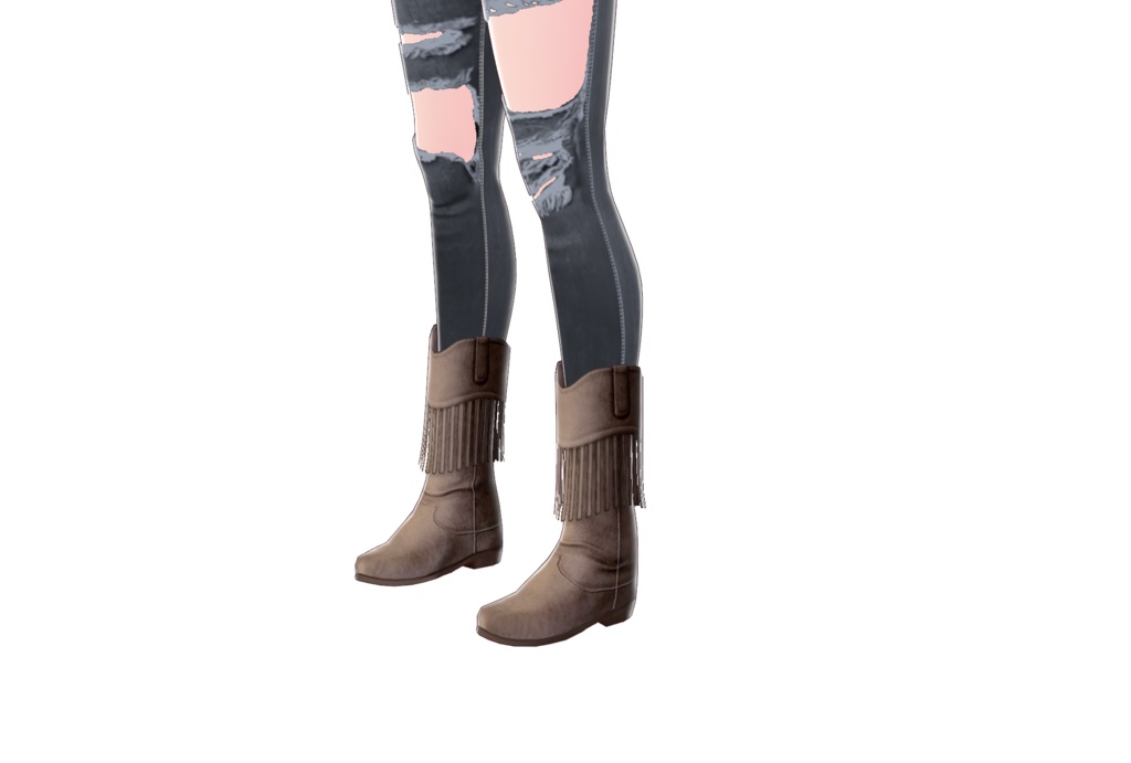 Cowboy Boots - Shoes 05