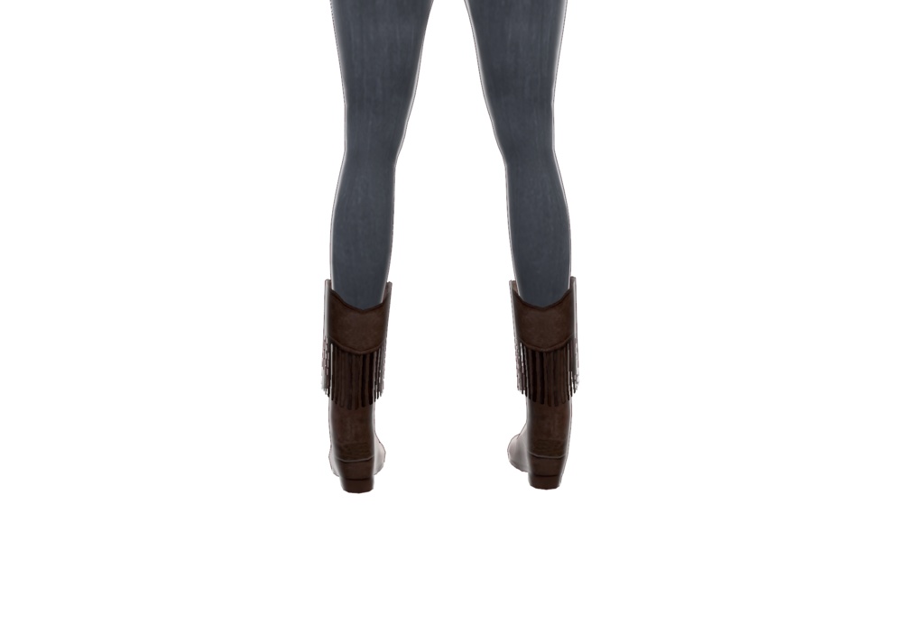 Cowboy Boots - Shoes 05