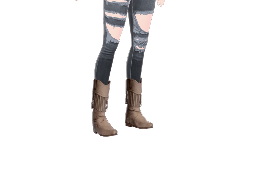 Cowboy Boots - Shoes 05