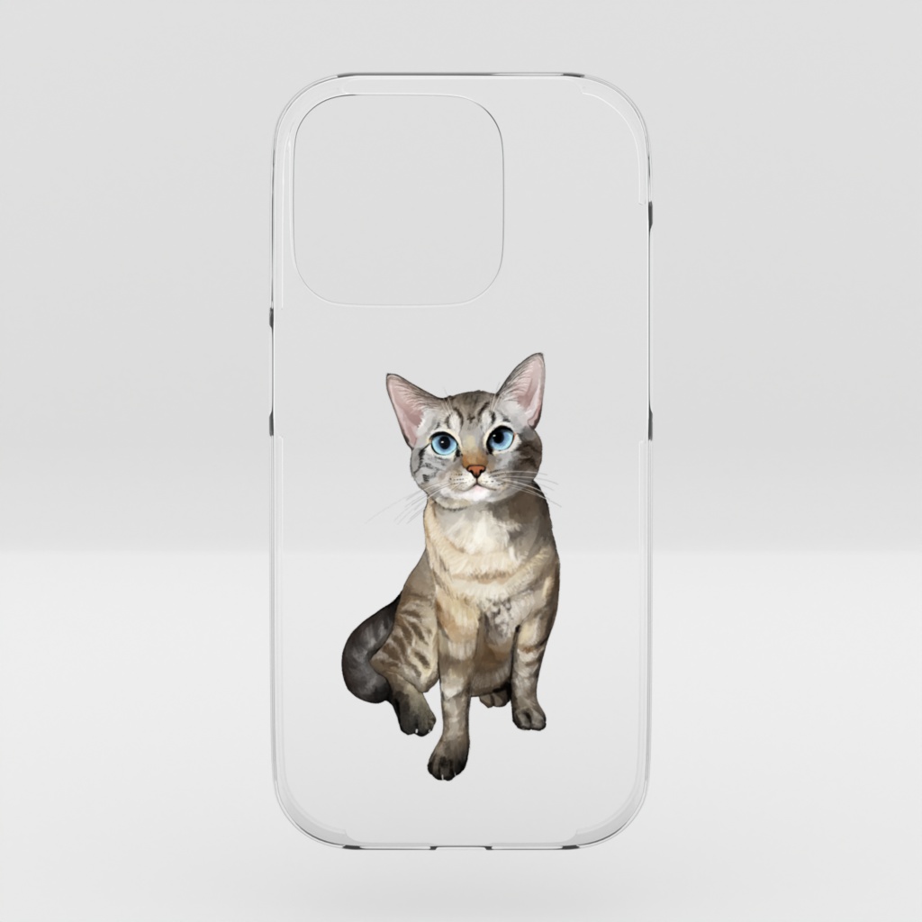 SORA 16 pro