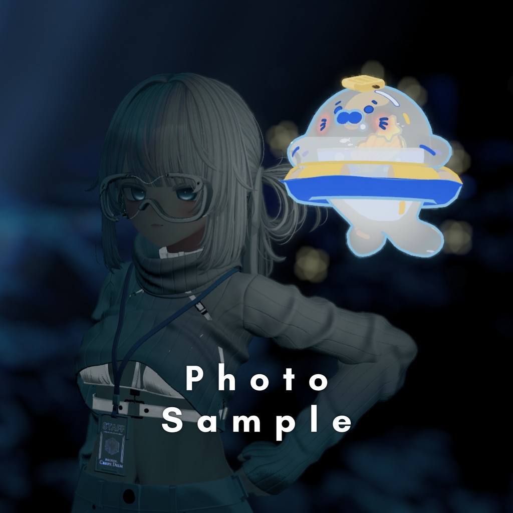 ⭐ Summer Seal Follower