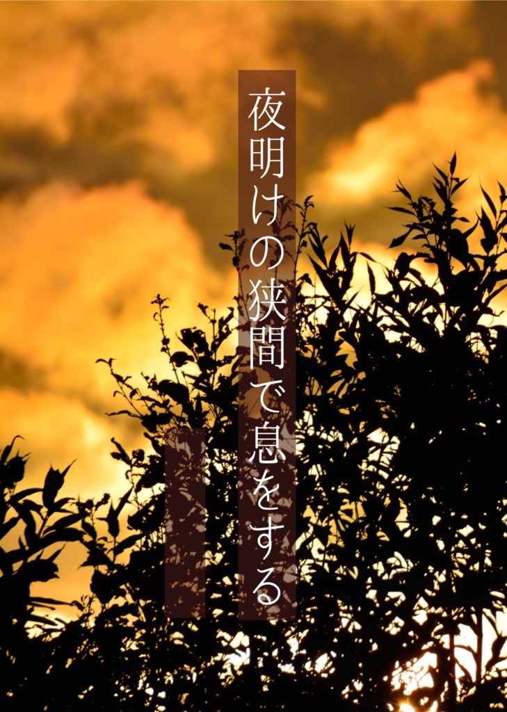 【※一次創作・別名義】夜明けの狭間で息をする