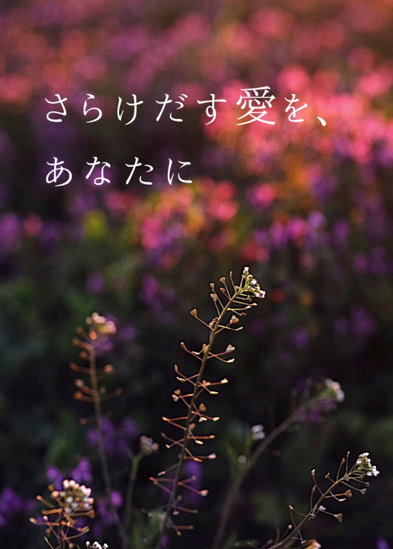 さらけだす愛を、あなたに