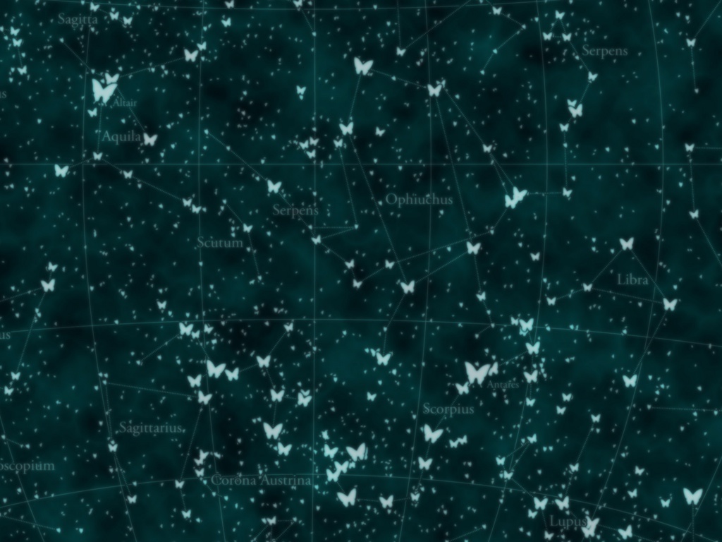 【無配】星座図ブックカバー・6種類