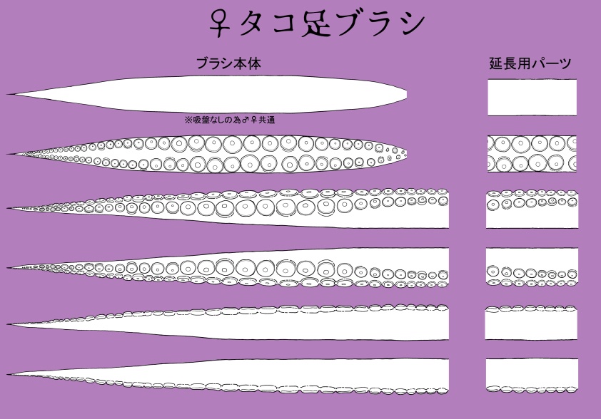 一筆タコブラシ【集合体注意】