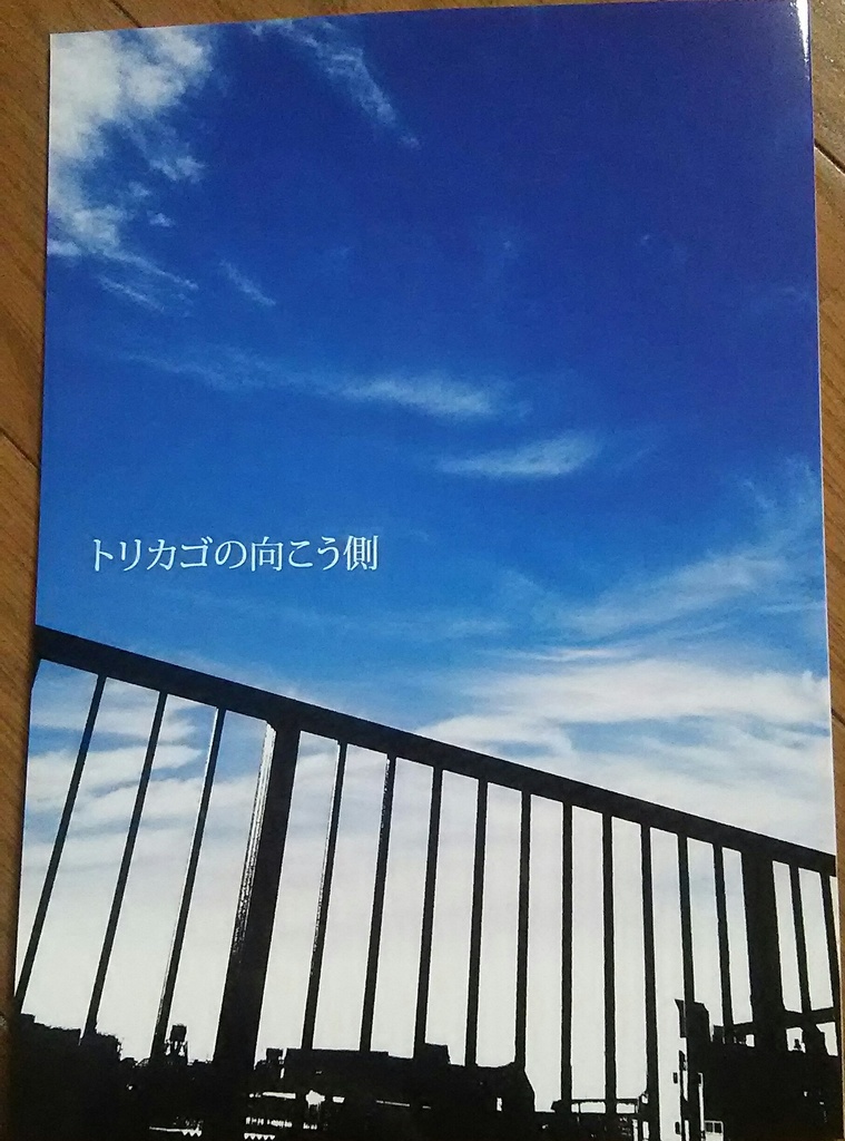 トリカゴの向う側