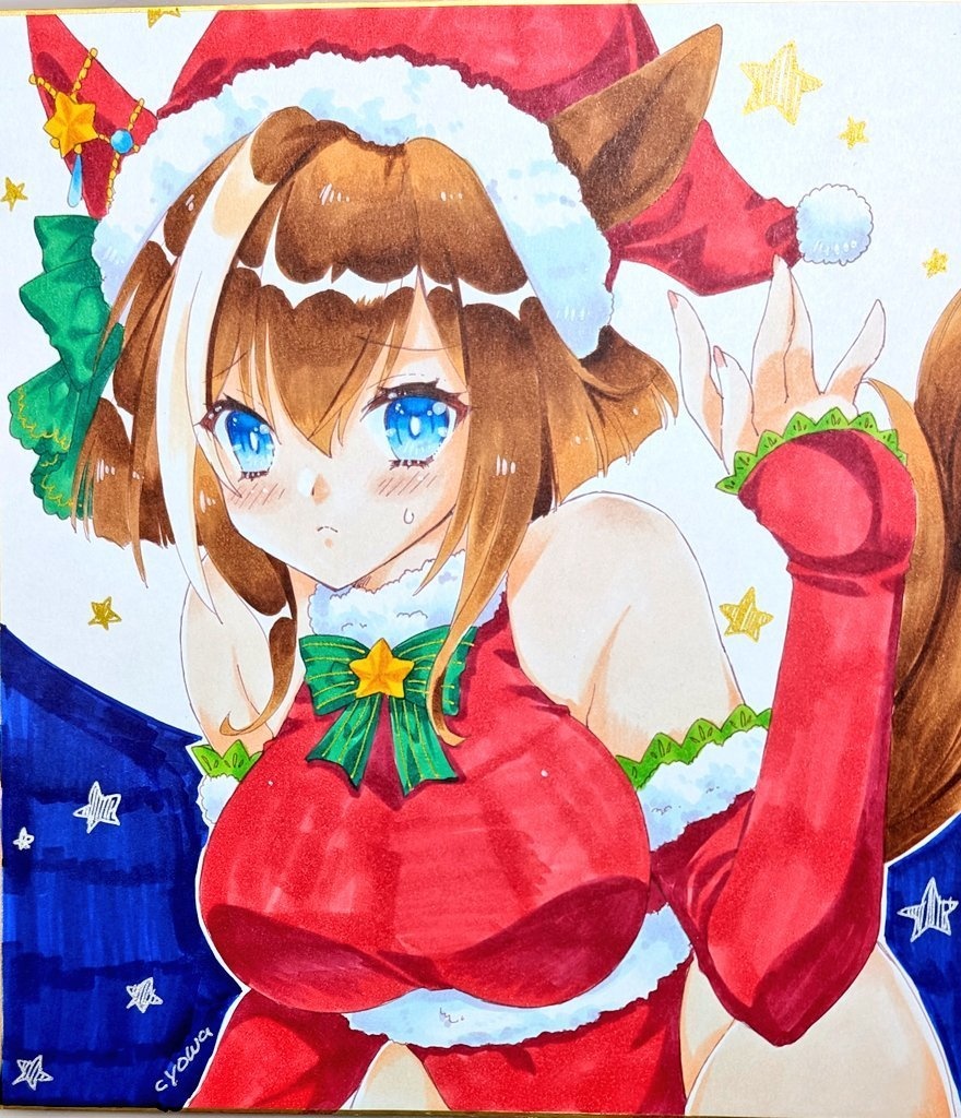 【大サイズ】サンタ/シュヴァルグラン