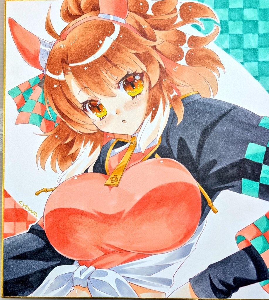 【大サイズ】ダンツフレーム