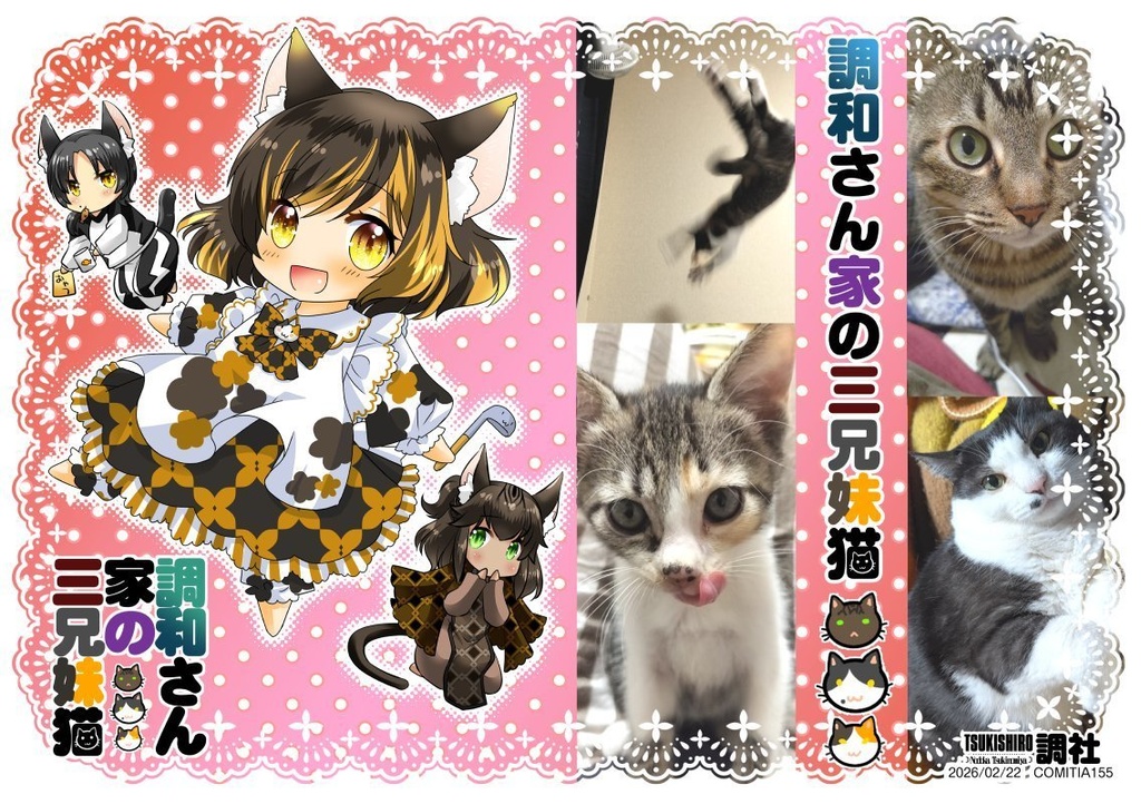 【漫画】調和さん家の三兄妹猫