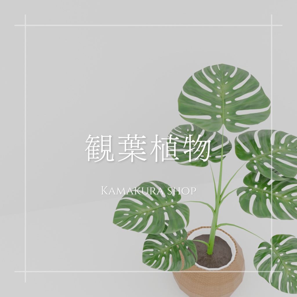 観葉植物(146点)