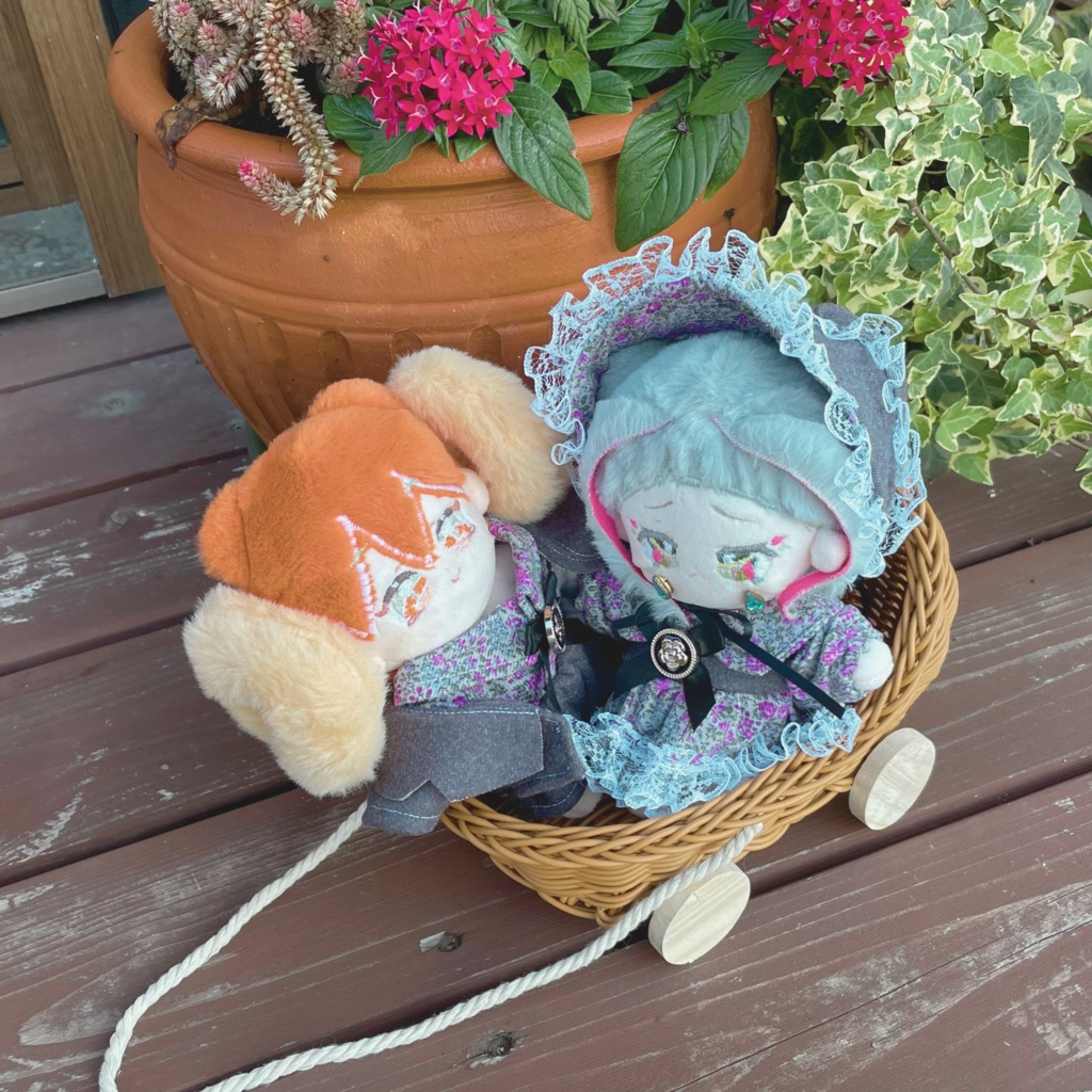 ウィンターコレクション