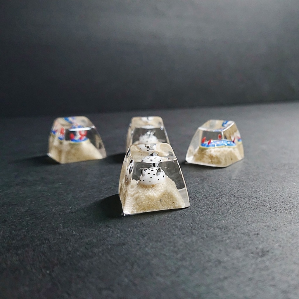 ▷ウミウシキーキャップ◁