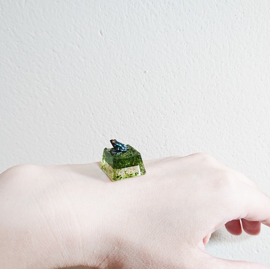 ▷沼地のカエルキーキャップ◁