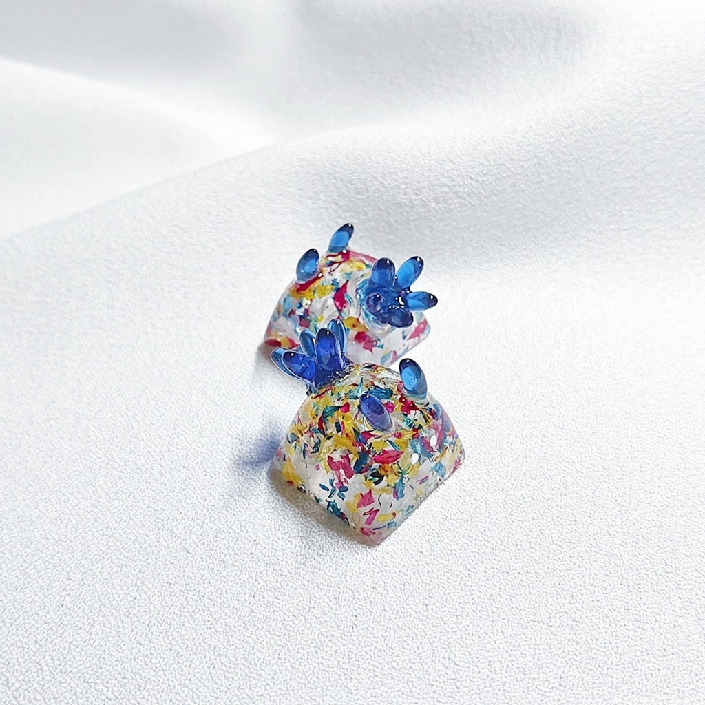 ▷ハナマイウミウシキーキャップ◁