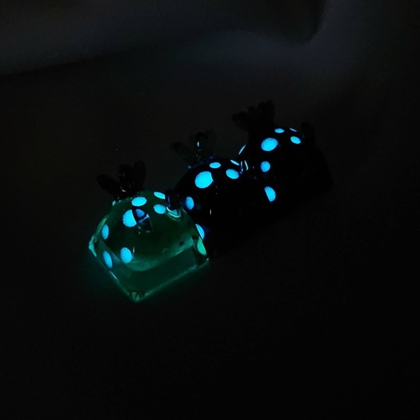 ドクキノコウミウシキーキャップ